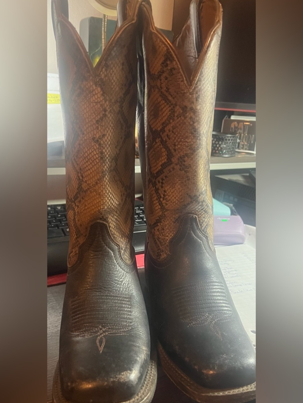 Ariat Women’s Snake Skin Boots